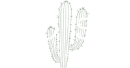Ross Man store