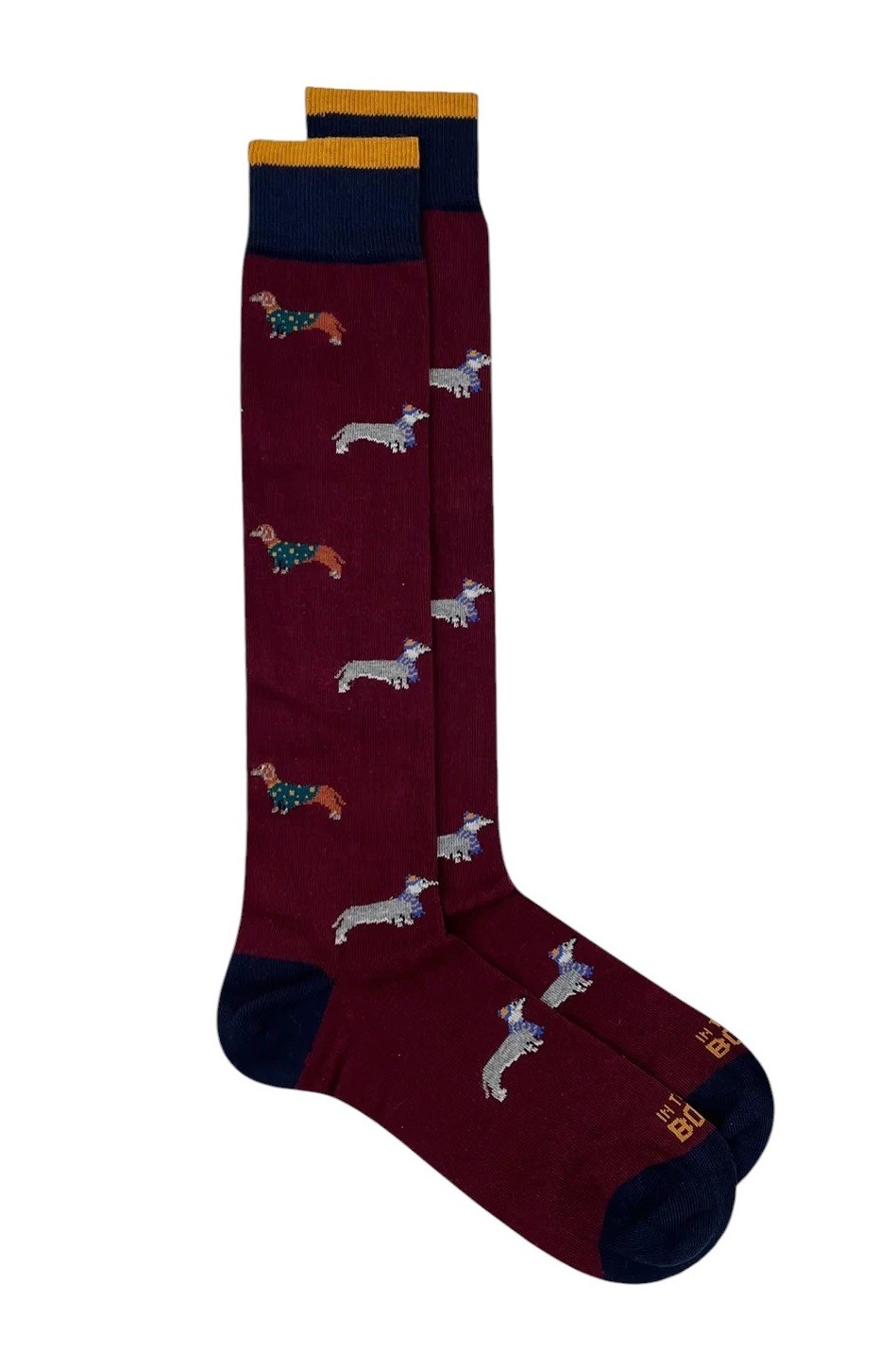 CALZE BASSOTTO BORDEAUX