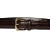 Albertoluti - CINTURA 3000/25 BROWN