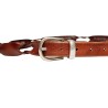 Albertoluti - CINTURA 902/25 BROWN