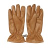 Edwin - GANTS FUNCTION