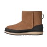 UGG - CLASSIC MINI GUARD GTX CHESTNUT