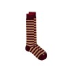 In The Box - STRIPED SOCKS BURGUNDY/CARAMEL