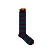In The Box - CALZE MULTIRIGA BORDEAUX/MULTICOLOR